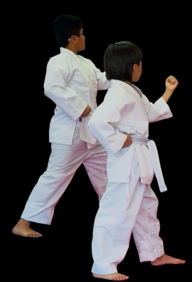 Children's Karate
