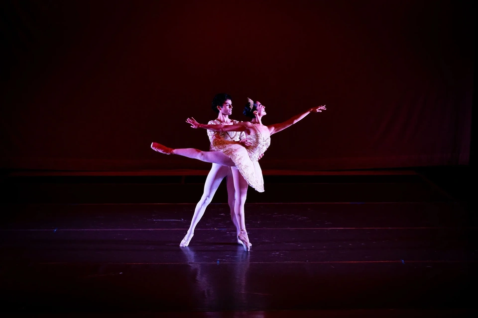 JLR Danza