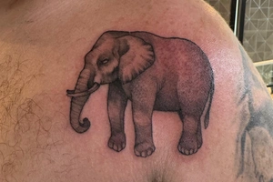 Justin Martinez - Image 7