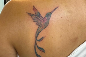 Justin Martinez - Image 5