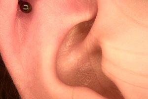 Norma Castillo - Image 4