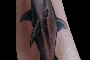 Justin Martinez - Image 6