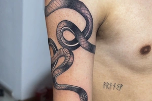 Martin Nekro - Image 2