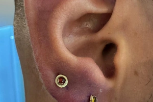 Norma Castillo - Image 2