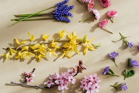 Floral Design